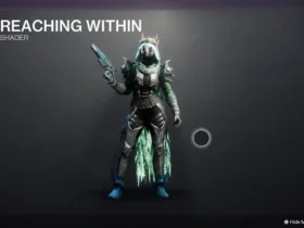 reaching within shader destiny 2